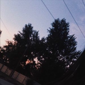 Meet your Posher, Lizz